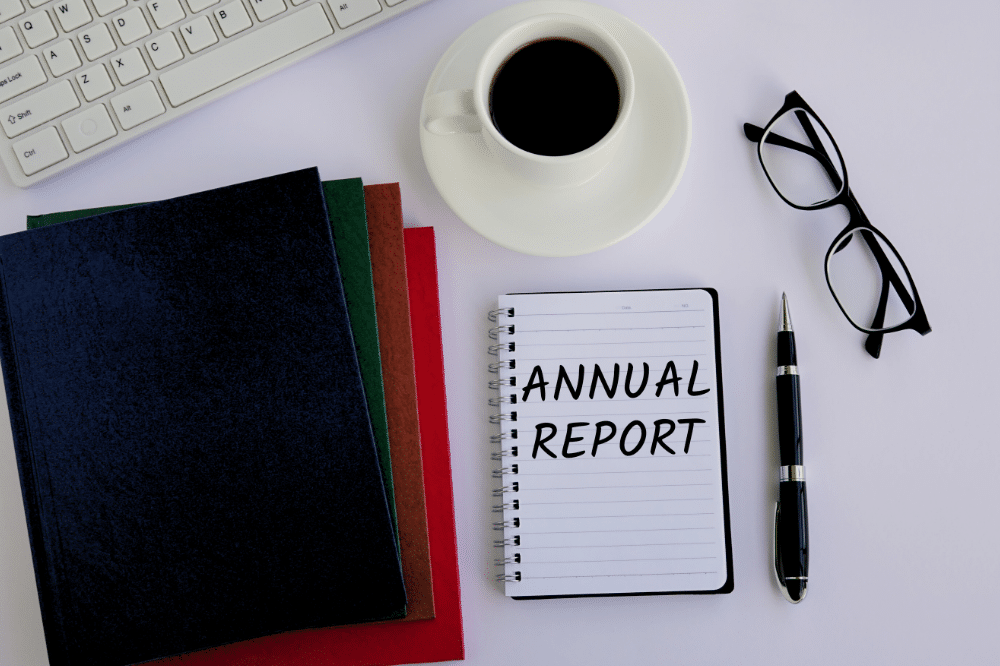 annual report filing