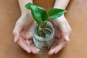 Steps to reactivate your business